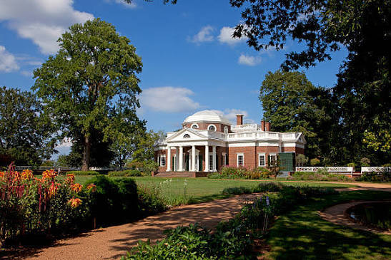 Tree services in Monticello, MN